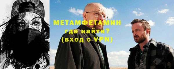 прущие грибы Инта