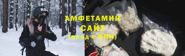 прущие грибы Инта