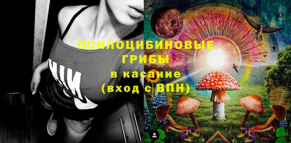 apvp Зеленодольск