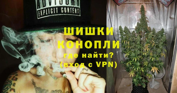 сатива Иннополис