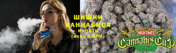 ешки Инсар