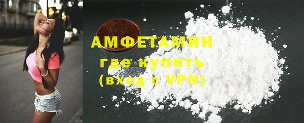 прущие грибы Инта