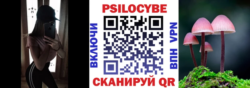 Псилоцибиновые грибы Psilocybine cubensis Купить закладки Тавда